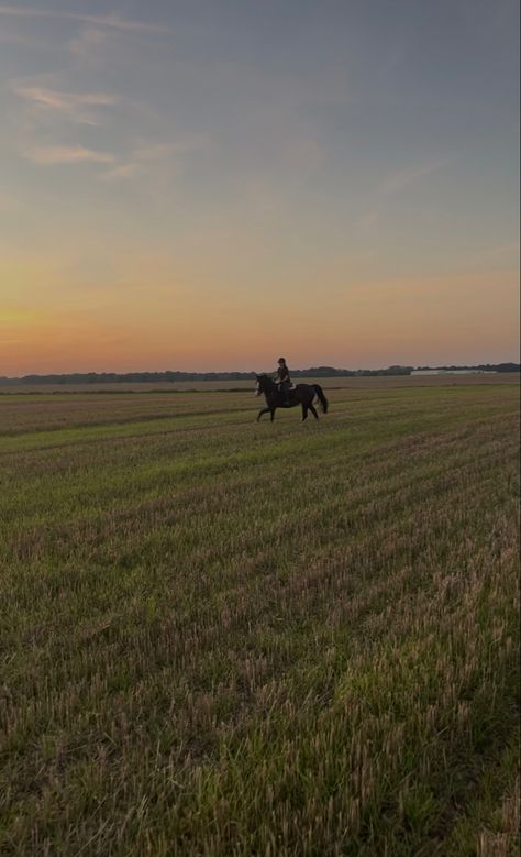 Horse Back Riding Asethic, Owning A Horse Aesthetic, Riding Aesthetic, Luxury Horse, Horse Riding Aesthetic, Equestrian Aesthetic, Types Of Horses, Horse Aesthetic, Equestrian Life