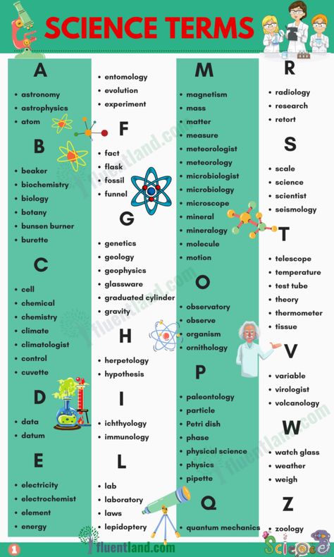 Science Vocabulary Word List - Fluent Land Science Vocabulary Activities, School Sheets, Types Of Science, Cell Theory, Science Vocabulary, Science Words, Alphabet Words, Writing Prompts For Writers, Petri Dish