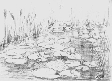 Pond Aesthetic Drawing, Water Lilies Sketch, Pond Sketch Pencil Drawings, Water Pond Drawing, How To Draw Water Lilies, Koi Pond Sketch, Pond Landscape Drawing, How To Draw Hedgehog Step By Step, Coi Pond Drawing