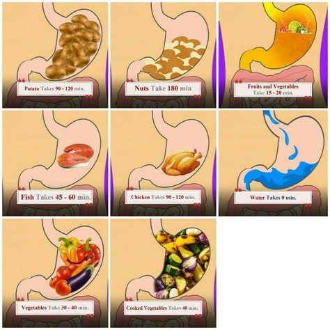 Digestive Time Digestion Time Of Foods, Food Good For Digestion, Good Digestion Tips, Good Digestive Foods, Healthy Digestion Tips, Easily Digested Meals, Food Digestion Time Chart, Easily Digested Foods, Food Digestion