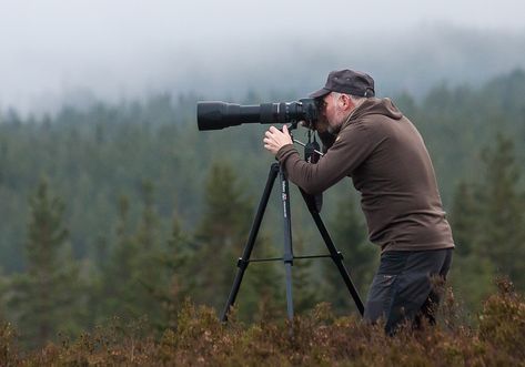 Sketch Reference, National Geographic Photographers, Wildlife Photographer, Types Of Animals, Wildlife Habitat, The Visitors, New Things To Learn, Wildlife Photography, Natural World