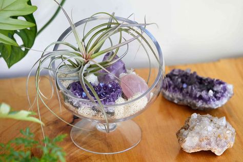 Crystals aren't just great accents for the coffee table, they can be made into excellent decorative pieces like coasters, picture frames, and more! Crystal Display Ideas, Display Crystals, Diy Flower Wall, Displaying Crystals, Diy Tray, Crystal Garden, Acrylic Storage, Crystal Display, Crystal Guide