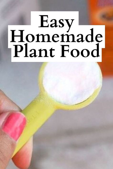 homemade plant food Nature, How To Make Plant Food At Home, Plants Fertilizer Homemade, Houseplant Food Diy, Best Plant Food For House Plants, Succulent Food Diy, Diy Plant Food For Outdoor Flowers, Flower Fertilizer Homemade, Homemade Plant Fertilizer Recipe