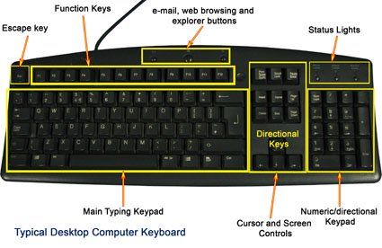 It is one of the most important parts of a computer which is used to enter commands, text, numerical data and other types of data by pressing the keys on the keyboard. Urdu Keyboard, Basics Of Computer, Typing Tutorial, Computer Keyboard Shortcuts, What Is Computer, Keyboard Layout, Classroom Songs, Math Quotes, Urdu Language