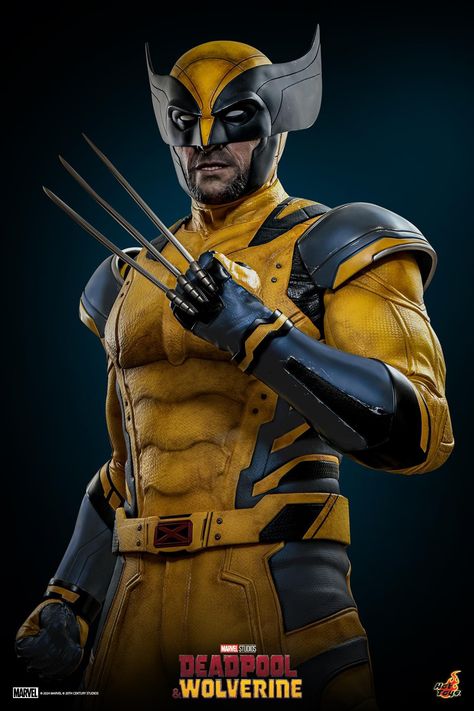 Wolverine 2024, Wolverine Suit, Wolverine Claws Art, Wolverine Pictures, Wolverine Fantasy Art, Wolverine Hugh Jackman Art, Logan Wolverine Movie, Wolverine Animal Art, Wolverine Poster