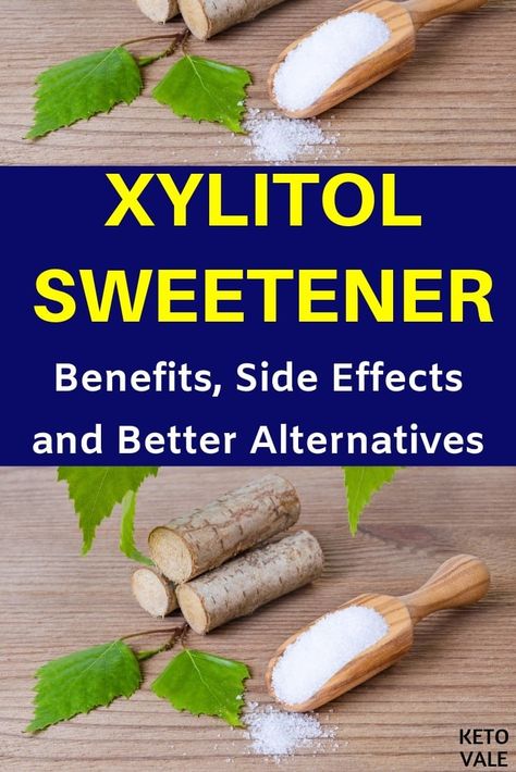 Xylitol Benefits, Xylitol Recipes, Best Sugar Substitute, No Carb Food List, Sugar Alternatives, Low Carb Sweeteners, Ketogenic Diet Meal Plan, Diet Snacks, Sugar Substitute