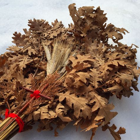 Badnjak/Oak branch-Christmas tradition Badnji Dan Slike, Badnji Dan, Serbian Christmas, Božićne Dekoracije, Orthodox Christmas, Oak Branch, Kids Backyard Playground, Disney Diy Crafts, Happy New Year Photo