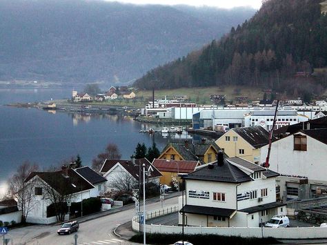 Sogndalsfjora, Sogndal, Norway - where Gertrude Scheldrup is from Sogndal Norway, Personal History, Family History, Genealogy, Norway, House Styles, History