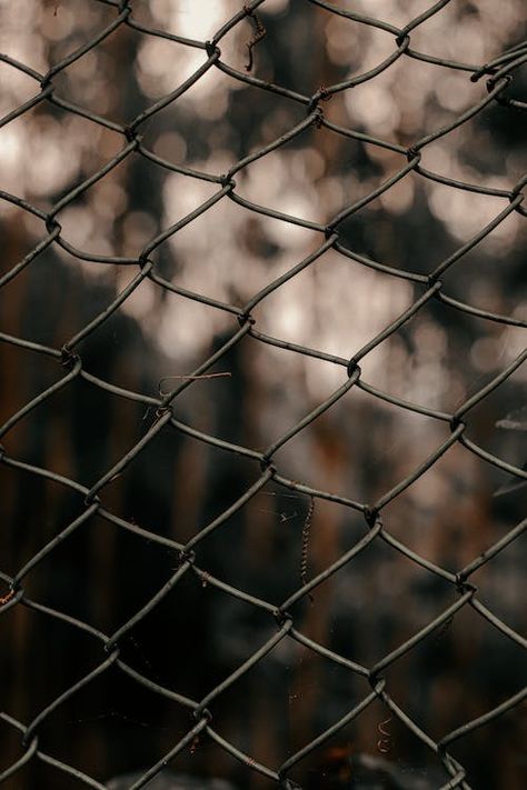 Chain Fence, Stacys Mom, Close Up Photo, Natural Background, Chain Link Fence, Photography Courses, Close Up Photos, Everyday Objects, Modern Pattern