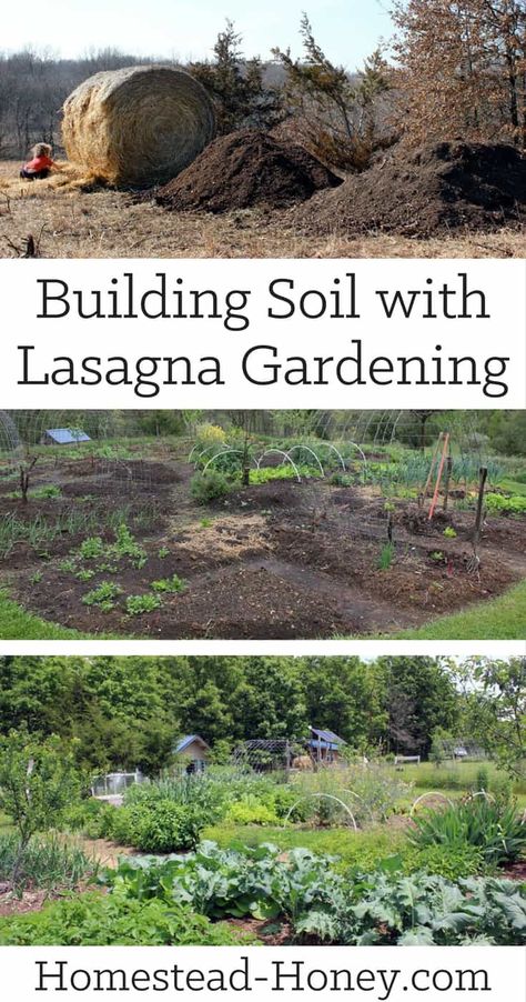 Sheet Mulching, Lasagna Gardening, Organic Vegetable Garden, Gardening 101, New Garden, Starting A Garden, Organic Gardening Tips, Easy Garden, Gardening Supplies