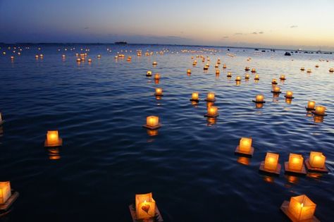 still Floating Candles Lake, Toro Nagashi, Lantern Ceremony, Lantern Floating, Light On Water, Night Candle, Floating Lanterns, Sky Lanterns, Colorful Roses