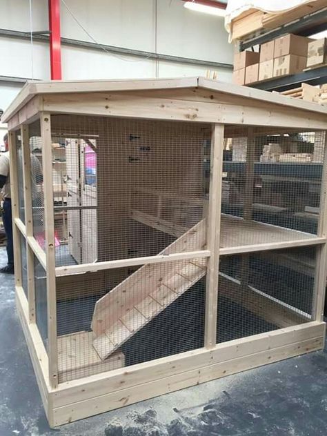 Outdoor Rabbit Cage Ideas, Rabbit Hutches Outdoor, Diy Rabbit Shed, Outdoor Ferret Enclosure Diy, Bunny Hutches Outdoor, Outdoor Bunny Habitat Diy, Diy Bunny Hutch Outdoor, Diy Outdoor Bunny Enclosure, Rabbit Hutch Outdoor Diy