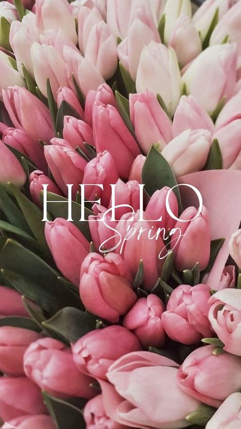 Hello Spring Wallpaper, Iphone Spring Wallpaper, Wallpaper Edgy, Frühling Wallpaper, Spring Flowers Wallpaper, Background Retro, Wallpaper Homescreen, Illustration Wallpaper, Wallpaper Retro