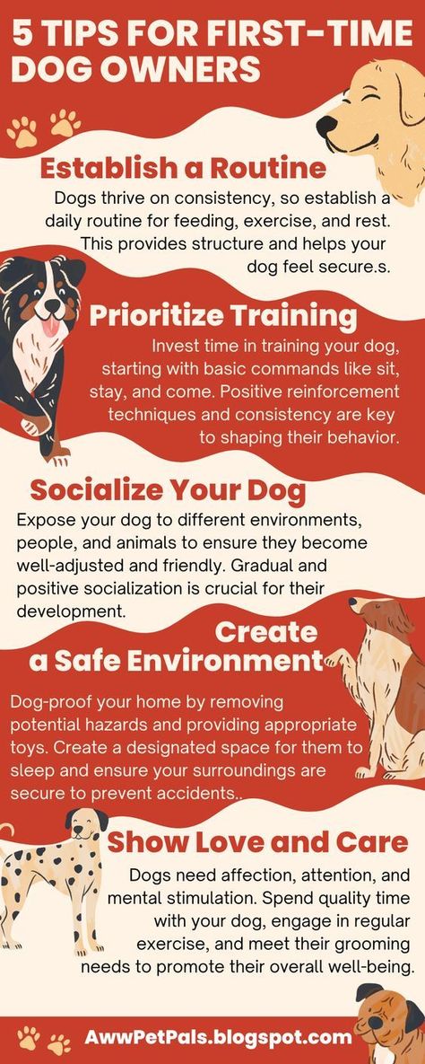 5 tips for first-time dog owners Dog Care Checklist, Puppy Training Schedule, Puppy Mom, Puppies Tips, Rescue Puppies, Reactive Dog, Basic Dog Training, Showing Love, Dog Training Advice