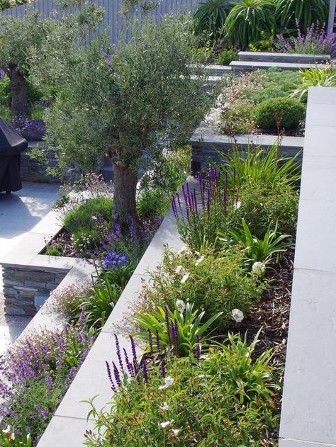 Mediterranean Terrace Garden - Jo gardens Mediterranean Terrace, Steep Gardens, Terraced Garden, Mediterranean Garden Design, Terraced Landscaping, Sloped Backyard Landscaping, Mediterranean Gardens, Terrace Garden Ideas, Terrace Garden Design