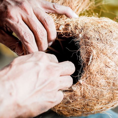 Behind the scenes of our coco coir planters! Holding Hands, Coco, Behind The Scenes