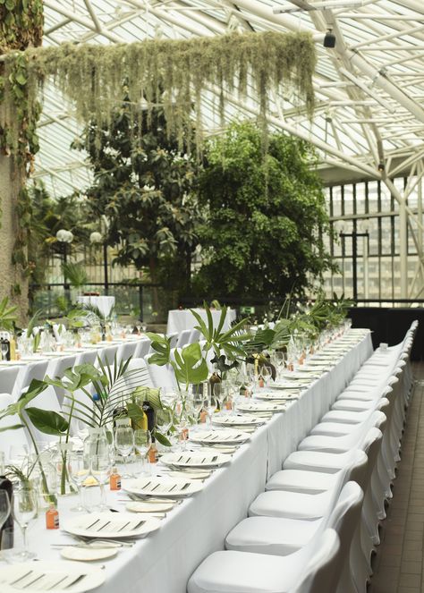 Plant Wedding Aesthetic, Conservatory Wedding Decor, Wedding Decor With Plants, Wedding Plant Decor, Wedding Houseplants, Botanical Garden Wedding Decor, Plant Lovers Wedding, Indoor Plant Wedding Decor, Plants Instead Of Flowers Wedding