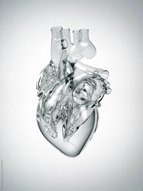 Heart Made Of Glass by Out Of The Box Albus Severus Potter, Aluminum Crafts, Graphic Design Ads, Human Heart, Futuristic Art, Grey Tattoo, Anatomy Drawing, Anatomy Art, Glass Heart