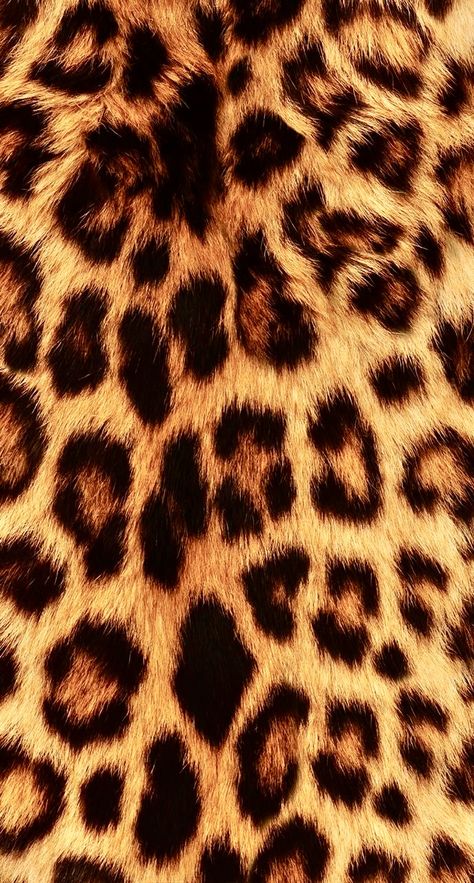 Glamour Background, Animal Print, Pattern