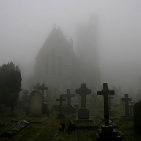 Cemetery Aesthetic, Dana Schwartz, Cemetery Gates, Cemeteries Photography, Old Cemeteries, Southern Gothic, Gothic Aesthetic, Goth Aesthetic, Six Feet Under