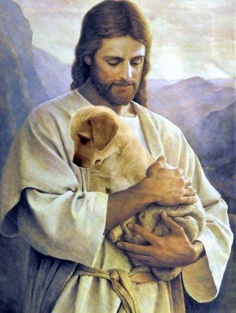 ♥ Jesus Artwork, Dog Heaven, Jesus Christ Artwork, Pictures Of Jesus Christ, Jesus Christ Images, Jesus Images, Lion Of Judah, Jesus Art, Mike Tyson