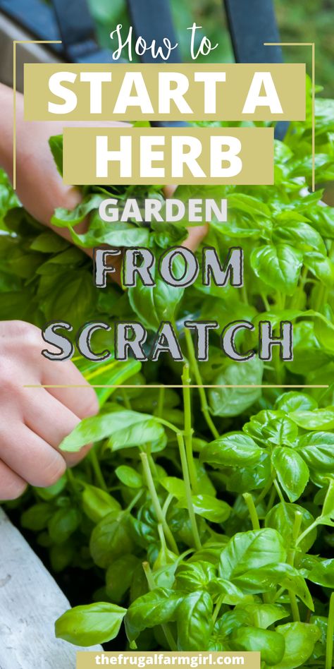 Starting Herbs From Seeds, Herbs For Beginners, Growing Herbs Outdoors, Growing Herbs In Pots, Raised Herb Garden, Patio Herb Garden, Best Herbs To Grow, Easy Herbs To Grow, Frugal Gardening