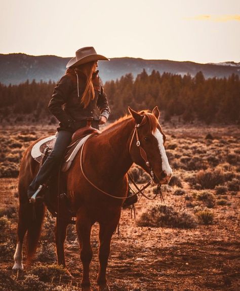 Horseback Riding Aesthetic, Horse Photoshoot Ideas, Equine Photography Poses, Cowgirl Things, Cowgirl Photography, Cowgirl Photoshoot, Horse Photography Poses, Foto Cowgirl, Pictures With Horses