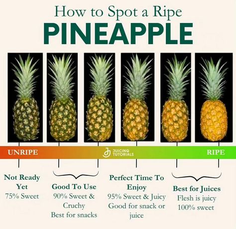 Fruitarian Diet, Pineapple Benefits, Ripe Pineapple, Eat Fresh, Ripe Fruit, Meal Replacement Smoothies, Sweet Smell, Health Knowledge, Food Facts