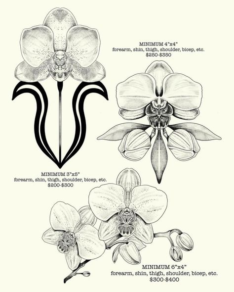 thank u @never.stop.exploring89 for getting this piece from my orchid/botanical flash!!! MORE BOTANICAL STUFF PLS <3 #botanical #botanicaltattoo #orchid #orchids #orchidtattoo #blackandgreytattoo #blackandgreytattoos #coloradoartist #coloradotattooartist #multimediaartist Orchid Chest Tattoo, Orchids Reference, Orchid Anatomy, Cyclamen Tattoo, Tattoos Manifestation, Jamie Tattoo, Orchid Poster, Orchid Flower Tattoos, Orchid Drawing