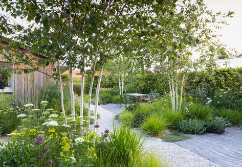 Pathways Drawing, Pavers Gravel, Naturalistic Planting, Gravel Gardens, English Landscape Garden, Contemporary Gardens, Scandinavian Garden, Clay Pavers, Contemporary Garden Design