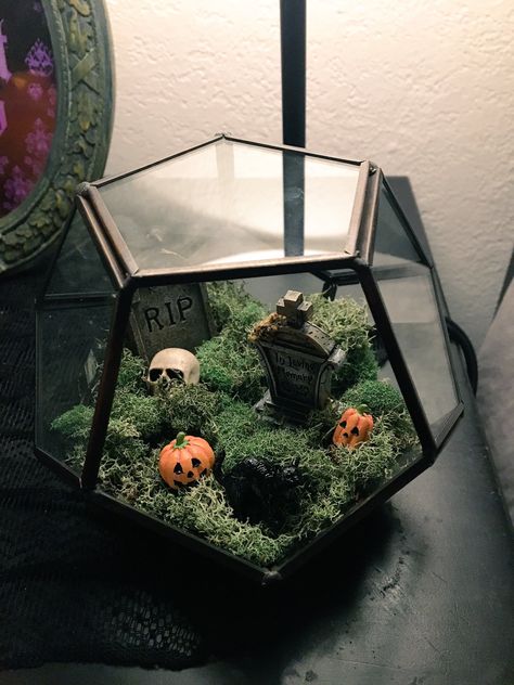 Halloween decor!! Halloween Terrarium, Geometric Terrarium Wedding, Terrarium Centerpiece, Cactus Terrarium, Terrarium Wedding, Halloween Decor Diy, Casa Halloween, Hanging Terrarium, Geometric Terrarium