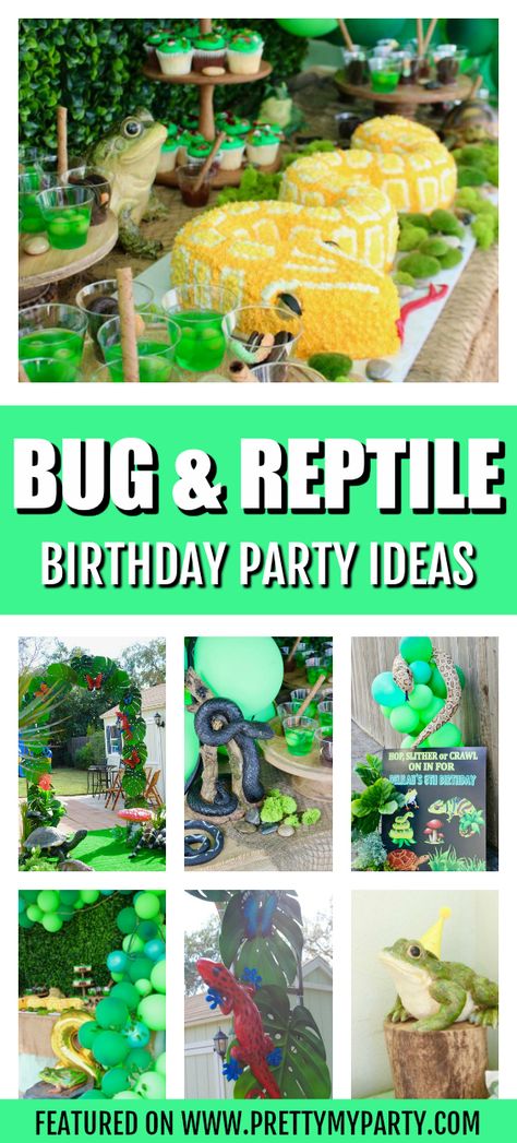 Bug and Reptile Themed Birthday Party on Pretty My Party Reptile Zoo Birthday Party, Reptile Themed Birthday Party Decorations, Reptile Party Centerpieces, Reptile Theme Party Food, Rainforest Party Ideas, Leopard Gecko Birthday Party, Gecko Party Ideas, Reptile Party Decor, Lizard Birthday Party Ideas