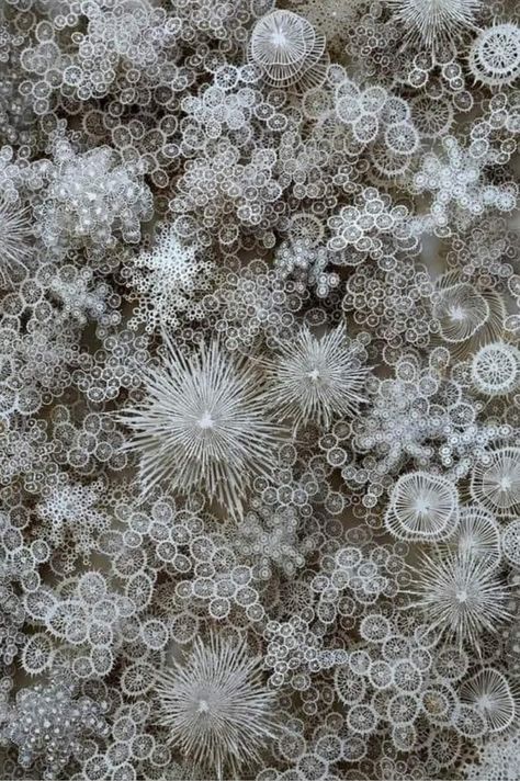 Snow under microscope. Photographer unknown. Nature Knowledge, Visuell Identitet, Microscopic Photography, Under A Microscope, Snow Flakes, Things Under A Microscope, Paper Sculpture, Patterns In Nature, Macro Photography