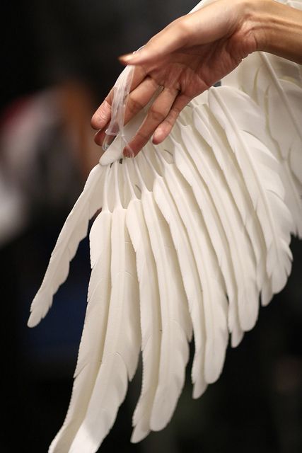 3d Printing Fashion, Open Wings, Swan Princess, 3d Printed Objects, Angel Aesthetic, White Swan, 3d Laser, White Bird, Swan Lake