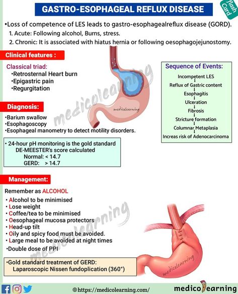 Gastro-Esophageal Reflux Disease | Nursing school motivation, Medical ultrasound, Medical radiography Nursing Facts, Medical Radiography, Nursing Flashcards, Medical Mnemonics, Medical Ultrasound, Bells Palsy, Nursing Assessment, Nursing School Essential, Gastrointestinal Disease