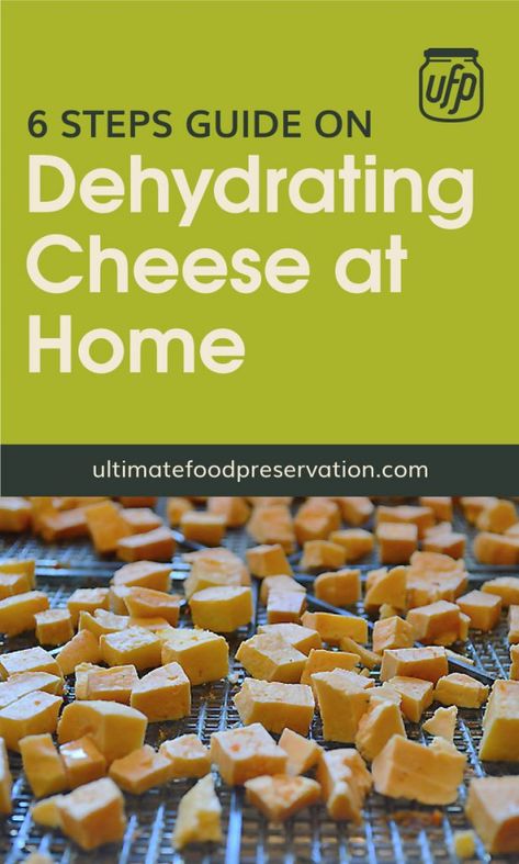 Dehydrated Cheese Powder, How To Make Cheese Powder, How To Dehydrate Fruit, Dehydrate Cheese, Dehydrating Cheese, Cheese Powder Recipe, Canning Cheese, Dehydrated Cheese, Dehydrator Snacks