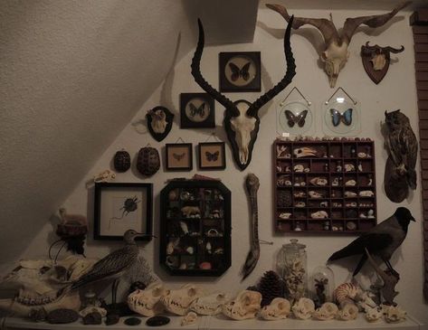 Oddities Room Aesthetic, Crowcore Room, Bone Decor, Hooded Crow, Goth Room, Gothic Room, Seed Box, Dark Home Decor, Goth Home