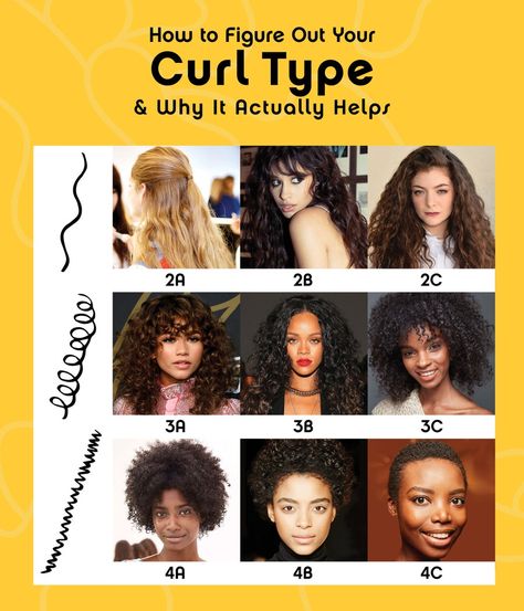 How to Figure Out Your Curl Type and Why It Matters | Glamour Curl Pattern Chart, Curl Type Chart, Hair Type Chart, 3a Curly Hair, 3b Curly Hair, Hair Chart, 3a Hair, Kinds Of Haircut, Medium Curly