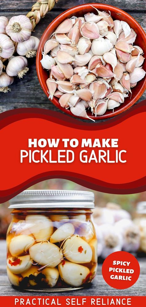 A mason jar with pickled garlic cloves canning and a bowl of unpeeled fresh garlic cloves Pickled Garlic Recipes, Pickled Garlic Cloves, Spicy Pickled Garlic, Cloves Recipes, Preserving Garlic, Recipes For Canning, Garlic Growing, Pickle Recipes Homemade, Pressure Canning Recipes