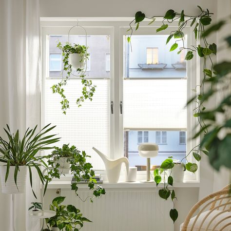 Window in shower