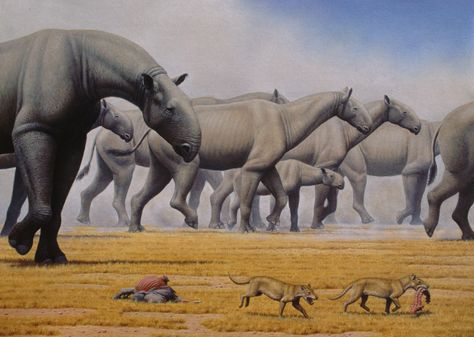 A herd of Paraceratherium crosses the grasslands of Oligocene Mongolia. By Mauricio Anton, from "National Geographic: Prehistoric Mammals" Group Of Animals, Bull Elephant, Prehistoric Wildlife, Prehistoric World, Ancient Animals, Paleo Art, Extinct Animals, Rhinos, Dinosaur Fossils