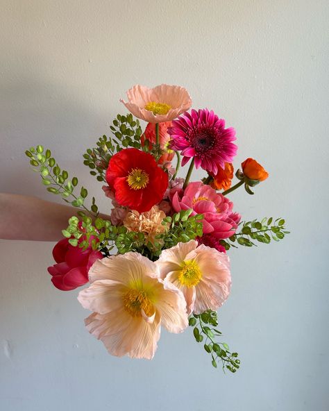 Of course @northerly.flora only supplies us with the most joyful, vibrant, and stand alone Poppies 🌸 local season has only just begun and we already can’t get enough. Icelandic Poppies Bouquet, Poppy Wedding Flowers, Poppies Bouquet, Poppy Flower Bouquet, February Flowers, Art Vibe, Icelandic Poppies, Poppy Bouquet, Flower Bar