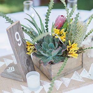 Pint-size planter Cheap Wedding Table Centerpieces, Cheap Wedding Centerpieces, Cactus Wedding, Southwest Wedding, Boda Mexicana, Unique Wedding Flowers, Wedding Party Ideas, Succulent Wedding, Wedding Centerpieces Diy