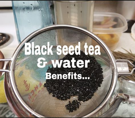 Black Seed Benefits Health, Black Seeds Benefits, Black Seed Benefits, Healing Teas, Benefits Of Black Seed, Low Histamine, Healing Tea, Food Health Benefits, Water Benefits