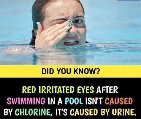 Epic Facts, Facts Science, Technology Facts, Youtube Facts, Eye Facts, Fun Facts About Life, Interesting Science Facts, Biology Facts, True Interesting Facts