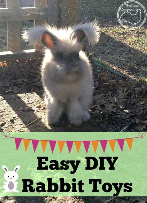 Backyard Rabbits, Diy Rabbit Toys, Homestead Rabbits, Meat Rabbits Breeds, Homemade Rabbit Toys, Homestead Livestock, Diy Bunny Toys, Rabbit Stuff, Homestead Animals