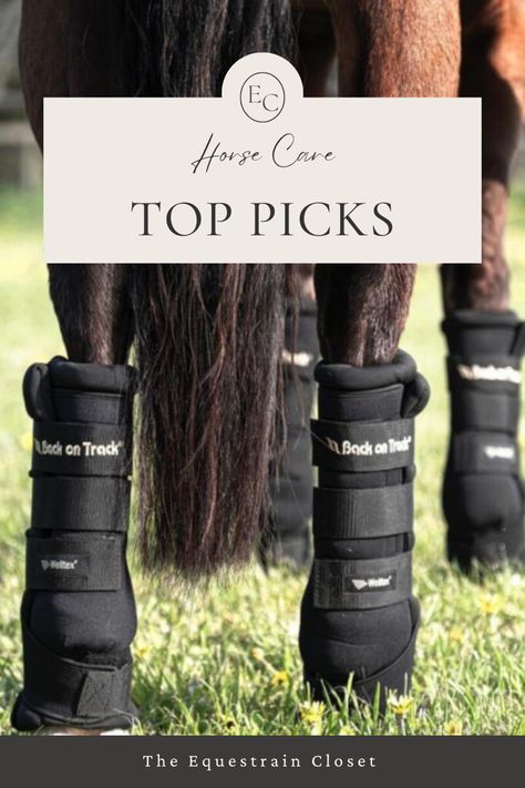 Top rated horse care items for a happy and healthy horse Horse Things To Buy, Equestrian Christmas Gifts, Equestrian Coach Gifts, Equestrian Christmas List, Equestrian Amazon Finds, Equestrian Essentials, This Or That Equestrian Edition, Horse Traveling Gear, Healthy Horses