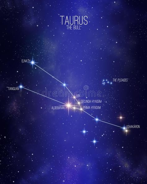 Taurus the bull zodiac constellation map on a starry space background with the names of its main stars. Stars relative sizes and. Color shades based on their vector illustration Taurus Stars, Star Sign Constellations, Taurus Star Constellation, Sign Constellations, Zodiac Constellation Art, Birth Symbols, Circle Monogram Font, Maps Aesthetic, Taurus Constellation