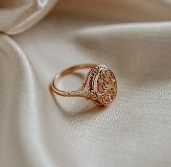 Sunday Sterling Silver Snake Ring Gold Plated By Rock N Rose | notonthehighstreet.com Jewel Rings, Tas Lv, Rings Aesthetic, Locket Ring, Sterling Silver Locket, Silver Lockets, Jewelry Inspo, Dream Jewelry, Super Sweet