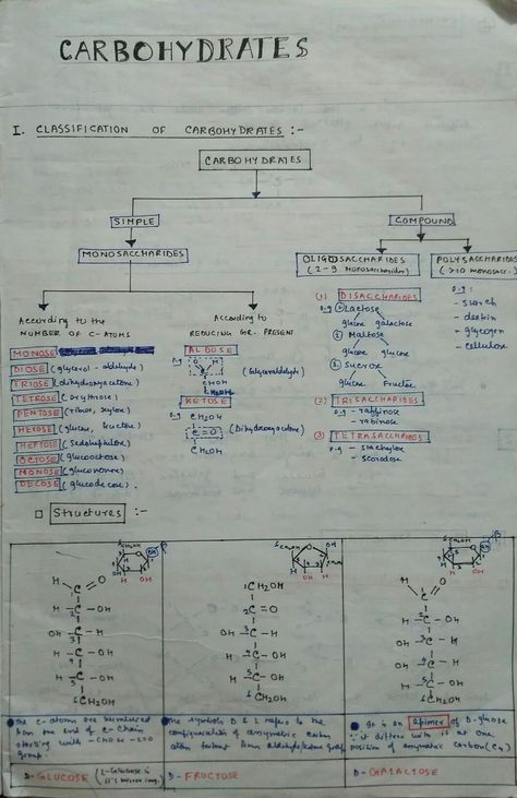 Classification Of Carbohydrates, Biomolecules Notes Chemistry Class 12, Biochemistry Notes Carbohydrates, Carbohydrates Classification, Biomolecules Notes Chemistry, Biomolecules Notes Biology, Carbohydrates Notes, Carbohydrates Biology, Biochemistry Notes